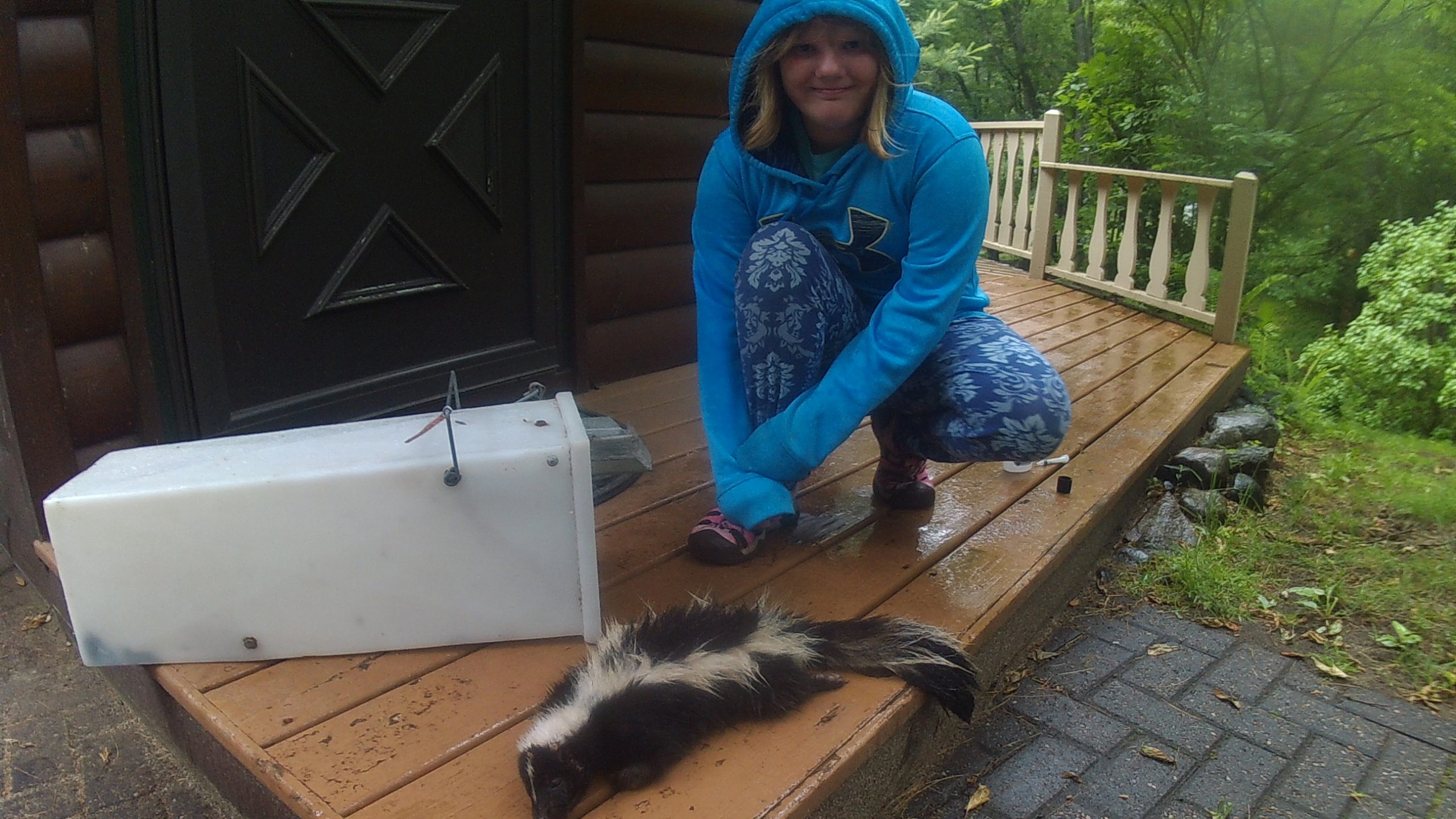 Skunk Removal Services
